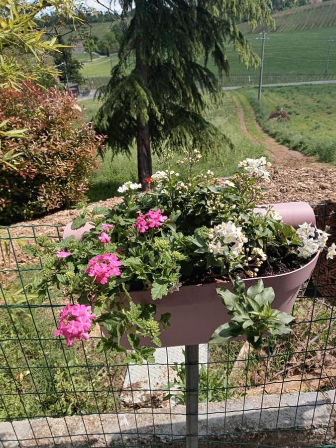 Bb Lady Bed & Breakfast Castelvetro di Modena Exterior photo
