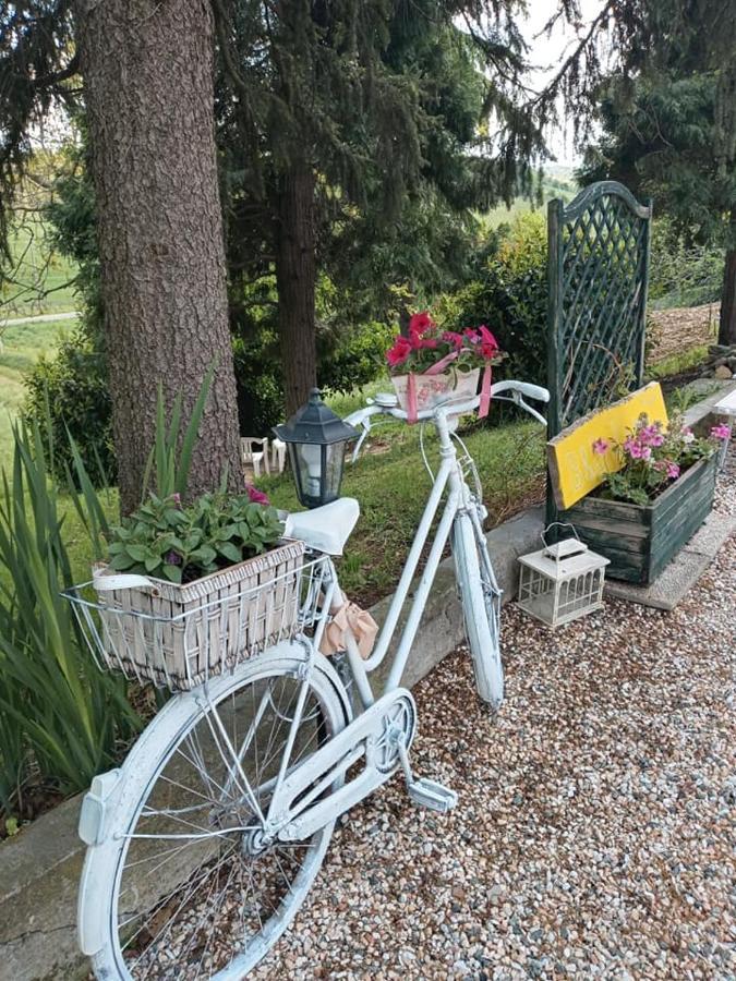 Bb Lady Bed & Breakfast Castelvetro di Modena Exterior photo